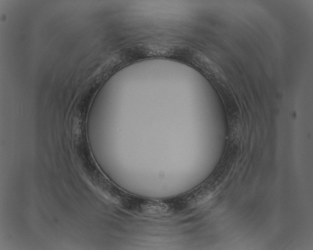 X0000089670215200707121232