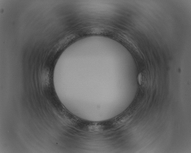 X0000089670216200707121232