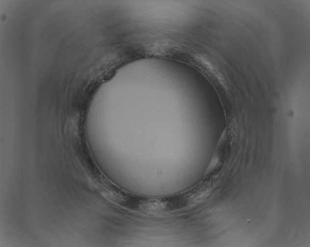 X0000089670217200707121232