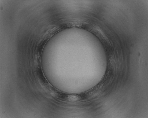 X0000089670218200707121232