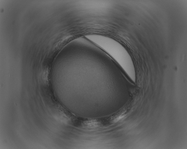 X0000089670219200707121232