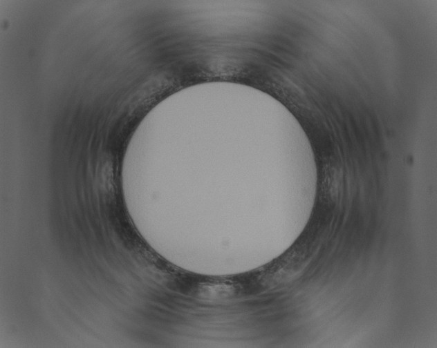 X0000089670220200707121232