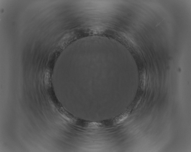 X0000089670222200707121232