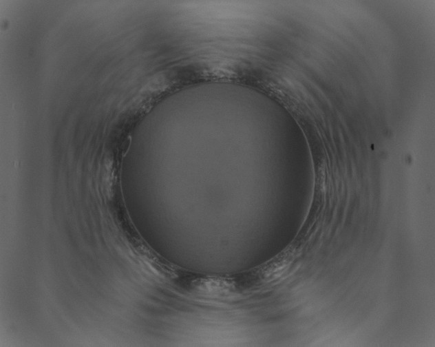 X0000089670223200707121232