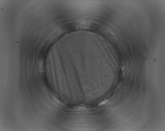 X0000089670224200707121232