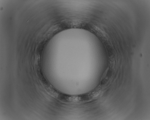 X0000089670225200707121232