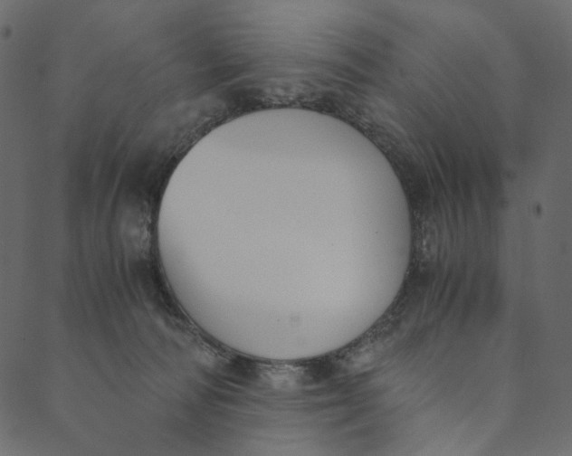 X0000089670226200707121232