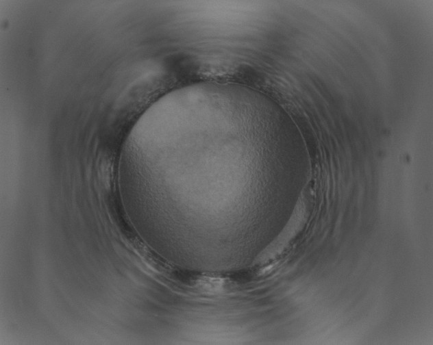 X0000089670227200707121232