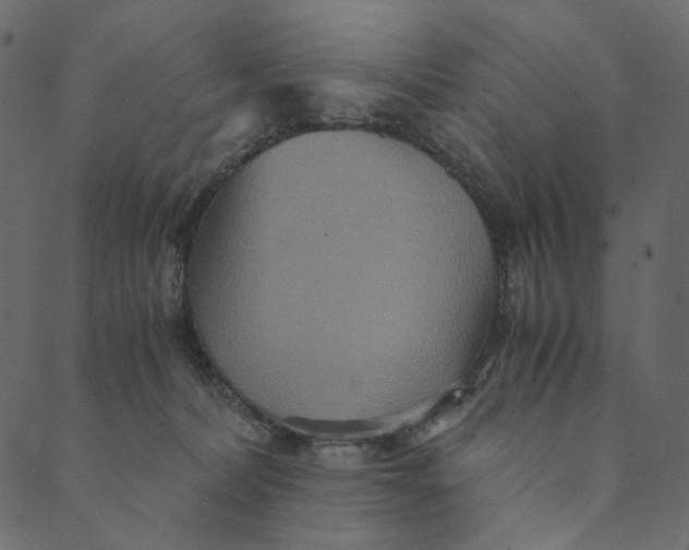 X0000089670228200707121232