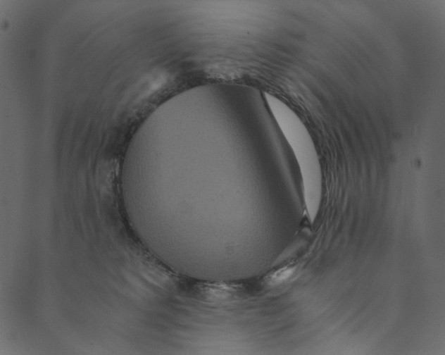 X0000089670229200707121232