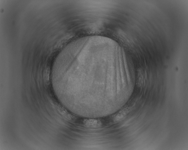 X0000089670230200707121232