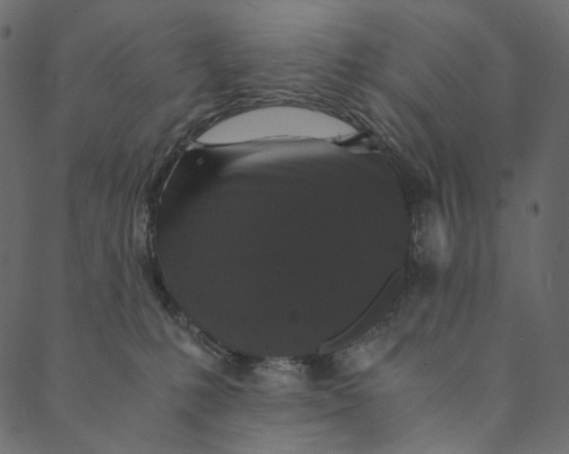 X0000089670231200707121232