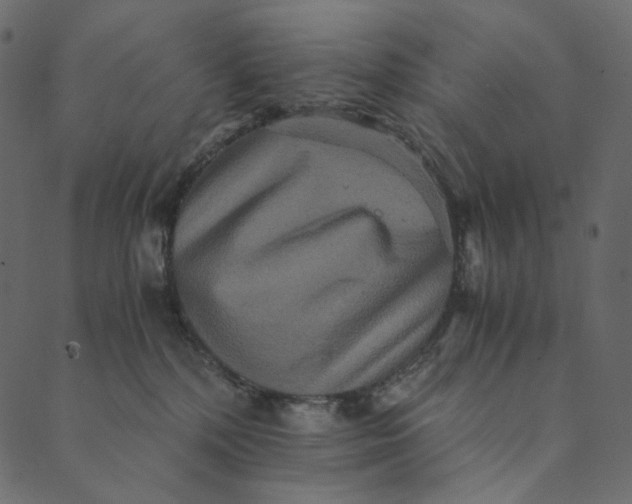 X0000089670232200707121232