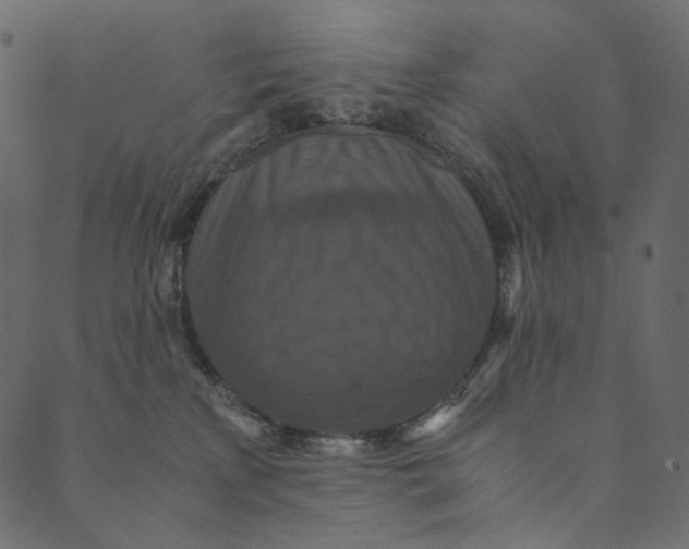 X0000089670233200707121232