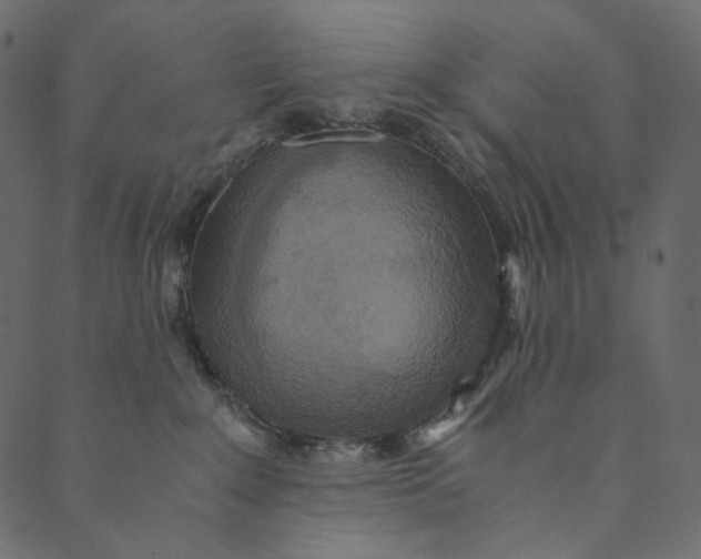 X0000089670235200707121232