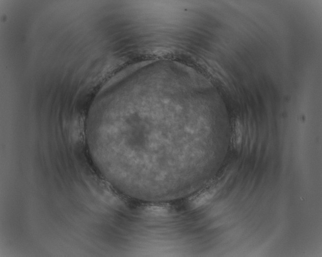 X0000089670236200707121232