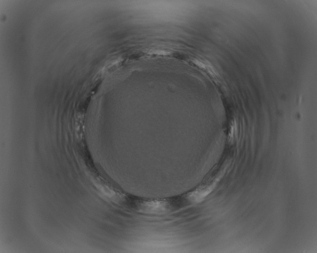 X0000089670237200707121232