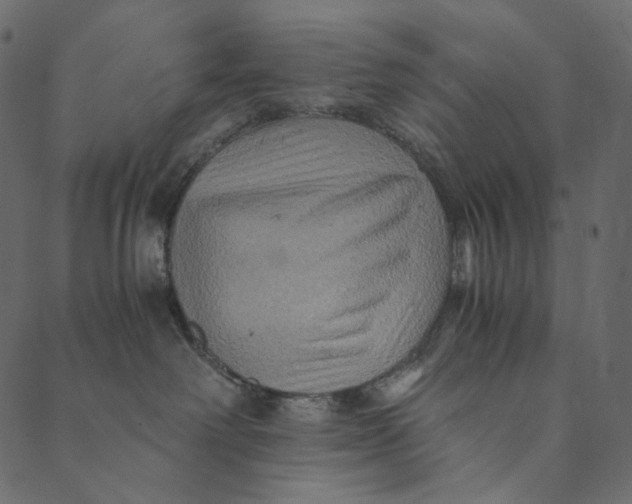 X0000089670238200707121232