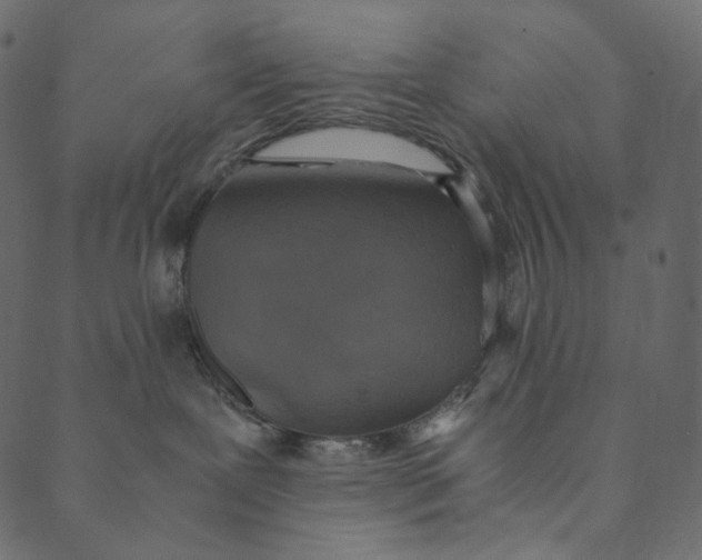 X0000089670239200707121232