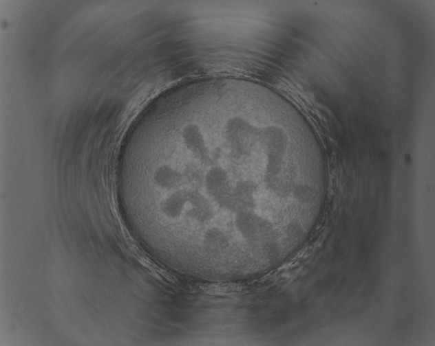 X0000089670241200707121231