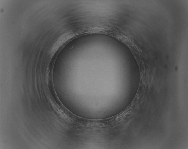 X0000089670242200707121231