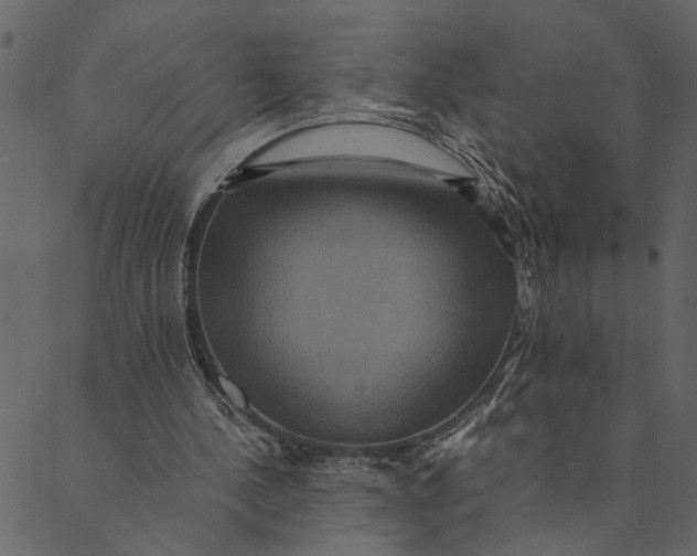 X0000089670244200707121231