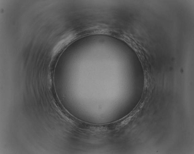 X0000089670245200707121231