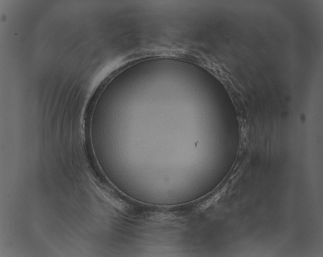 X0000089670246200707121231