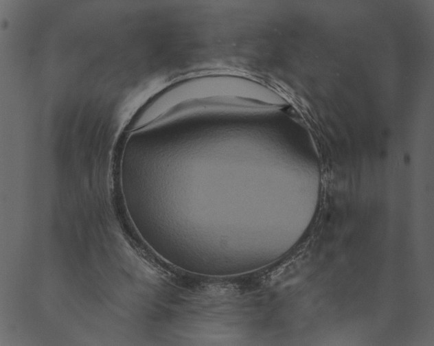 X0000089670248200707121231