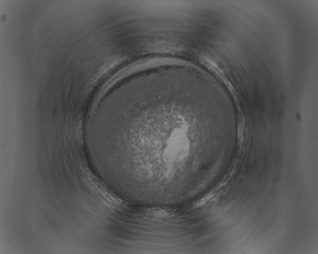 X0000089670249200707121231