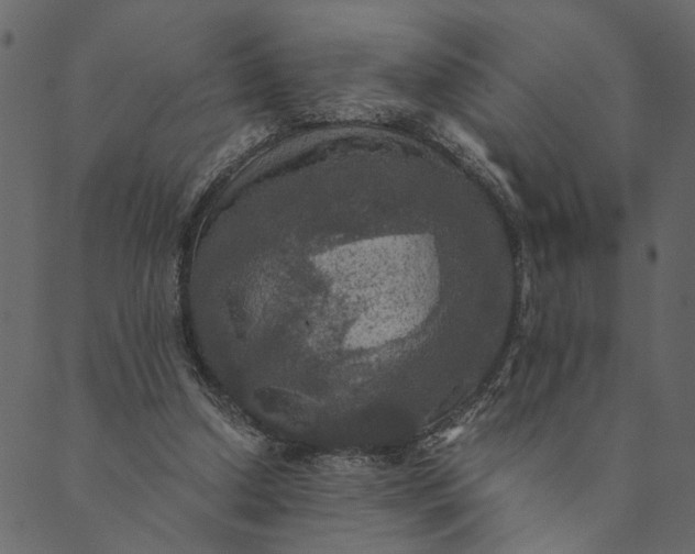 X0000089670250200707121231