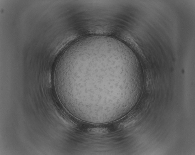 X0000089670251200707121231