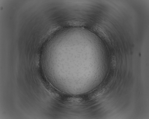 X0000089670255200707121231