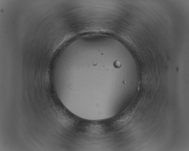 X0000089670256200707121231