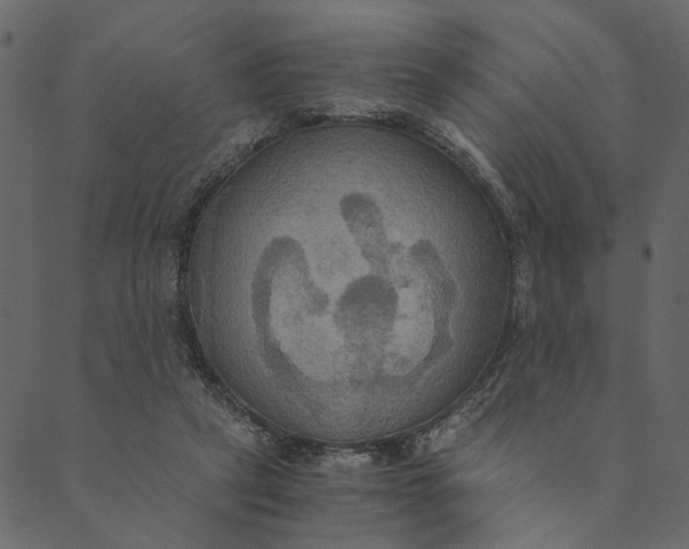 X0000089670257200707121231