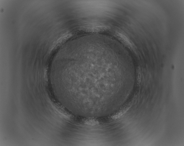 X0000089670258200707121231