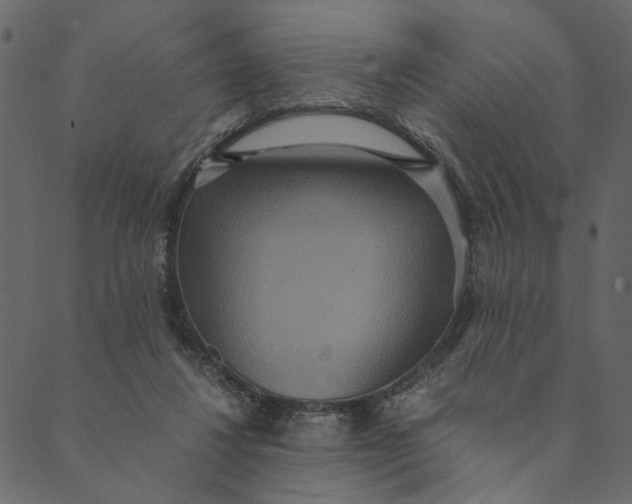 X0000089670260200707121231