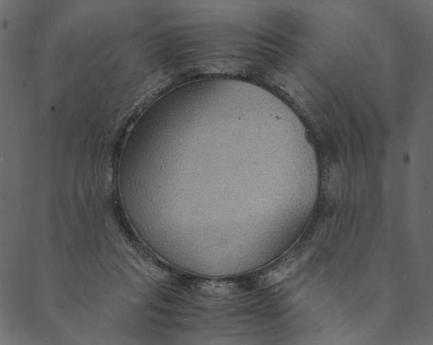 X0000089670261200707121231