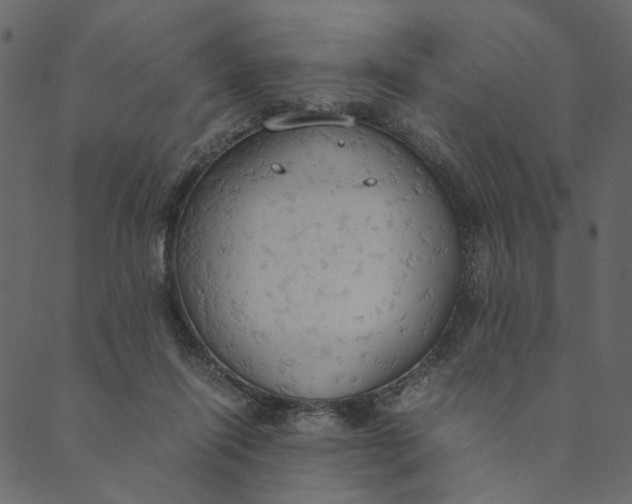 X0000089670262200707121231