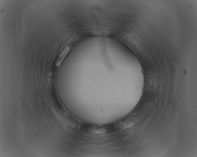 X0000089670263200707121231