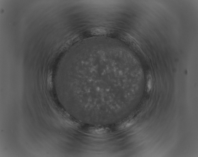 X0000089670267200707121231