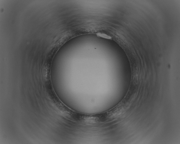 X0000089670268200707121231