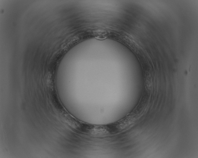 X0000089670270200707121231