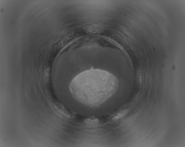 X0000089670271200707121231