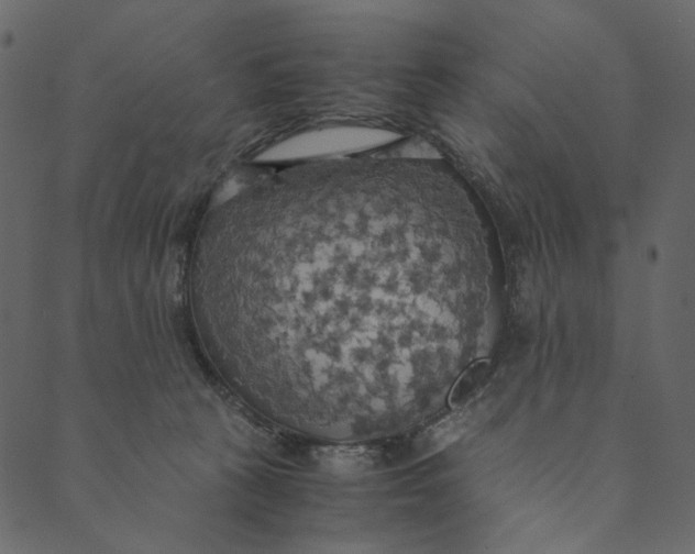 X0000089670273200707121231