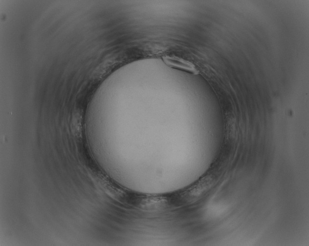 X0000089670274200707121231