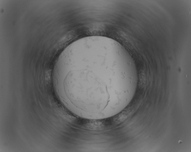 X0000089670278200707121231