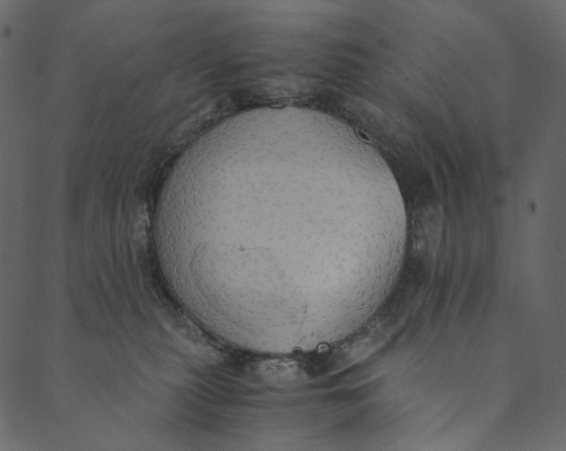 X0000089670279200707121231