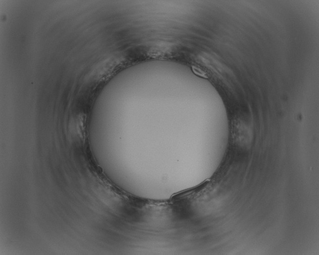 X0000089670280200707121231