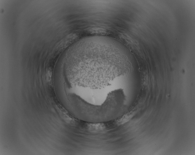 X0000089670281200707121231